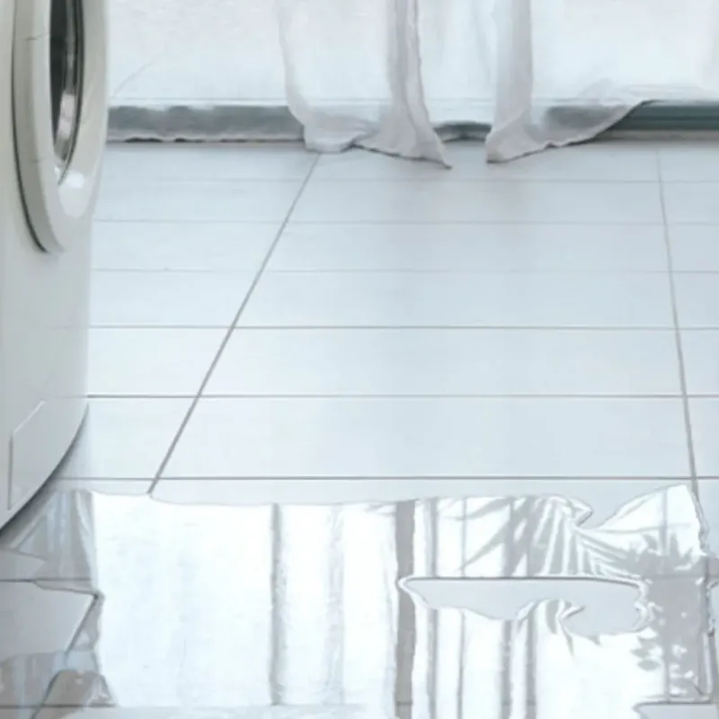 Appliance Leak Cleanup in Thonotosassa, FL