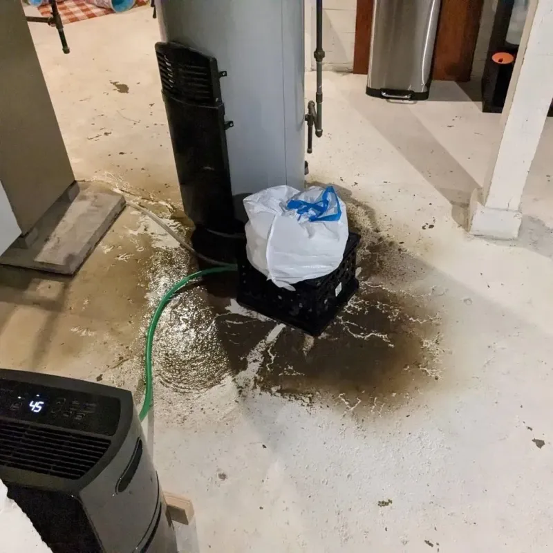 Sewage Backup Cleanup Service in Thonotosassa, FL